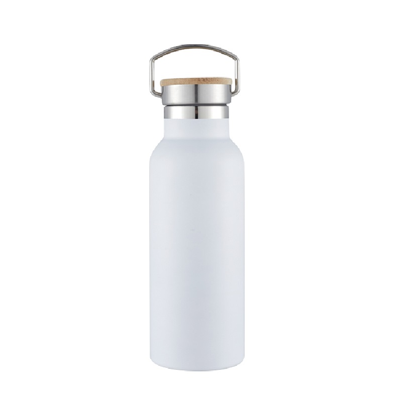 Insulated Water Bottle Stainless Steel WITH HANDLE