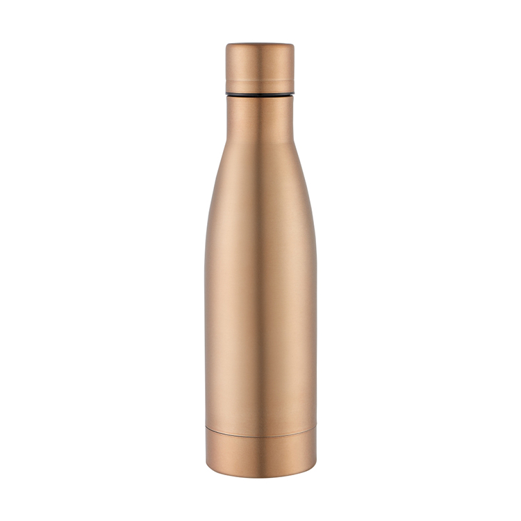 Vacuum Insulated Bottle